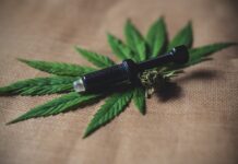 Podstawowe informacje na temat growboxów do marihuany