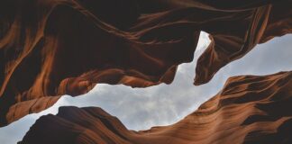 Jakie są formy zajęć? Jakie są formy zajęć?