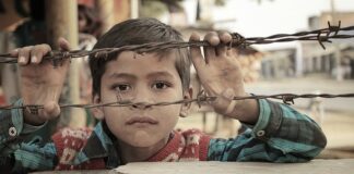 Jakie są największe bariery rozwoju cyfrowego w instytucji kultury? Jakie są największe bariery rozwoju cyfrowego w instytucji kultury?