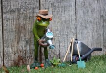 Ile kosztuje abonament w Shoper?