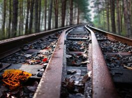 Co można powiedzieć o internecie?