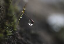 Jak pracować nad skupieniem uwagi?