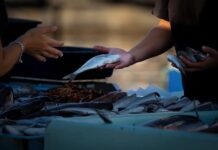 Gdzie można sprzedawać w internecie?