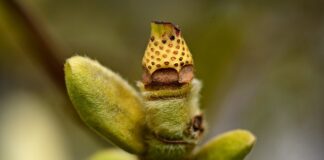 W jaki sposób rozwijamy kompetencje kluczowe u dzieci? W jaki sposób rozwijamy kompetencje kluczowe u dzieci?