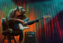 Co to jest trzeci etap edukacyjny?