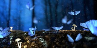 Co to jest struktura lekcji?