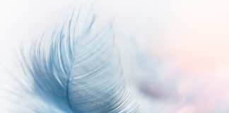 Jakie są platformy e-commerce? Jakie są platformy e-commerce?