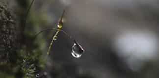 Jak utrzymać skupienie?