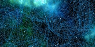 Co regeneruje neurony?