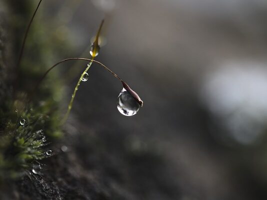 Jak ćwiczyć skupienie uwagi u dziecka?