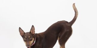 Co warunkuje proces kształcenia?