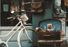 Czy sklep internetowy musi mieć numer telefonu?