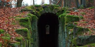 Co zawiera instrukcja obróbki?