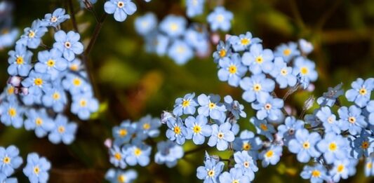 Co oznacza częste zapominanie?