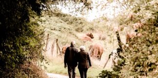 Ile wynosi średnia emerytura nauczycielska?