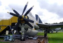 Co wspomaga myślenie?