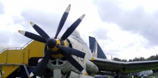 Co wspomaga myślenie?