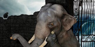 Co zrobić żeby skupić się na lekcji?