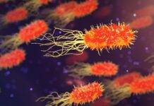 Jak pozbyć się wody z organizmu brzucha?