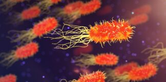 Jak pozbyć się wody z organizmu brzucha? Jak pozbyć się wody z organizmu brzucha?