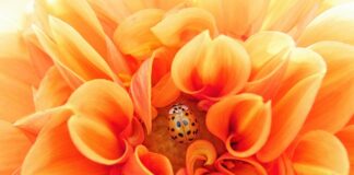 Ile czasu trwa efektywna nauka? Ile czasu trwa efektywna nauka?