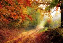 O jakiej porze dnia najlepiej się uczyć test? O jakiej porze dnia najlepiej się uczyć test?