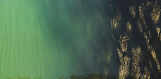 Jak sprawdzić swój poziom angielskiego za darmo? Jak sprawdzić swój poziom angielskiego za darmo?