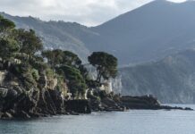 Ile kosztuje warunek? Ile kosztuje warunek?