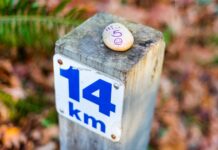 Jak przebiec 5 km w 22 minuty?