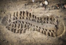 Co jeśli wykładowca nie wpisał oceny?