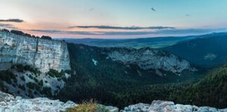 Kim warto zostać w przyszłości?