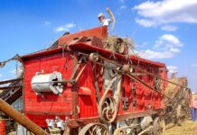 Jak przygotować się do zawodów MTB?