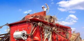 Jak przygotować się do zawodów MTB?