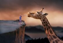 Jak nauczyć się żyć swoim życiem?