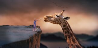 Jak nauczyć się żyć swoim życiem?