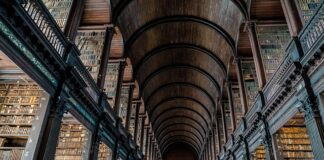 Czy uczelnie sprawdzają świadectwa maturalne? Czy uczelnie sprawdzają świadectwa maturalne?