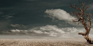 Jak wygląda człowiek odwodniony?