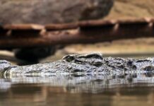 Jakie są zasady pracy? Jakie są zasady pracy?