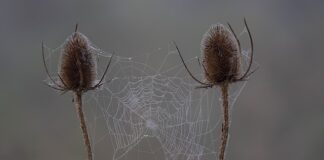 Czy są sprawdziany na studiach? Czy są sprawdziany na studiach?