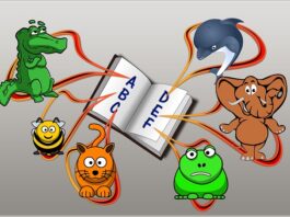 Jak samodzielnie przygotować się do FCE?