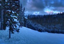 Czy jest sens robić licencjat z psychologii?