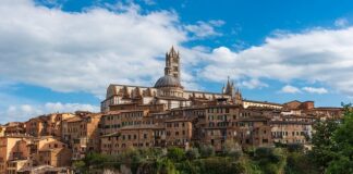 Po czym poznajemy kierunek rozwoju człowieka? Po czym poznajemy kierunek rozwoju człowieka?