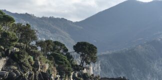 Ile kosztuje miesięczne utrzymanie w Holandii?