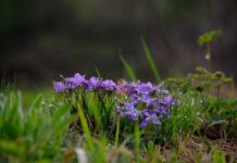 W jakim wieku zmieniają się rysy twarzy?