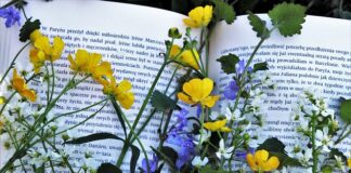 Jaka lektura będzie na e8 2023? Jaka lektura będzie na e8 2023?