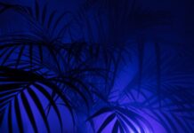 Co oznacza skrót KP w rachunkowości?