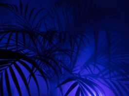 Co oznacza skrót KP w rachunkowości?