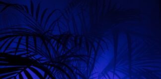 Co oznacza skrót KP w rachunkowości?