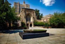 Ile kosztuje rok na Yale?