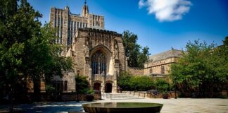 Ile kosztuje rok na Yale?